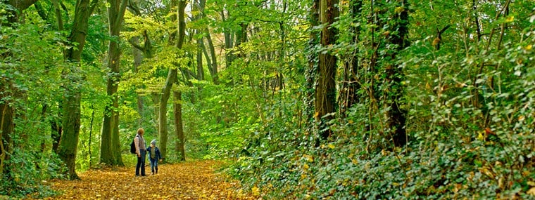 Kvinna och pojke på promenad i skogen